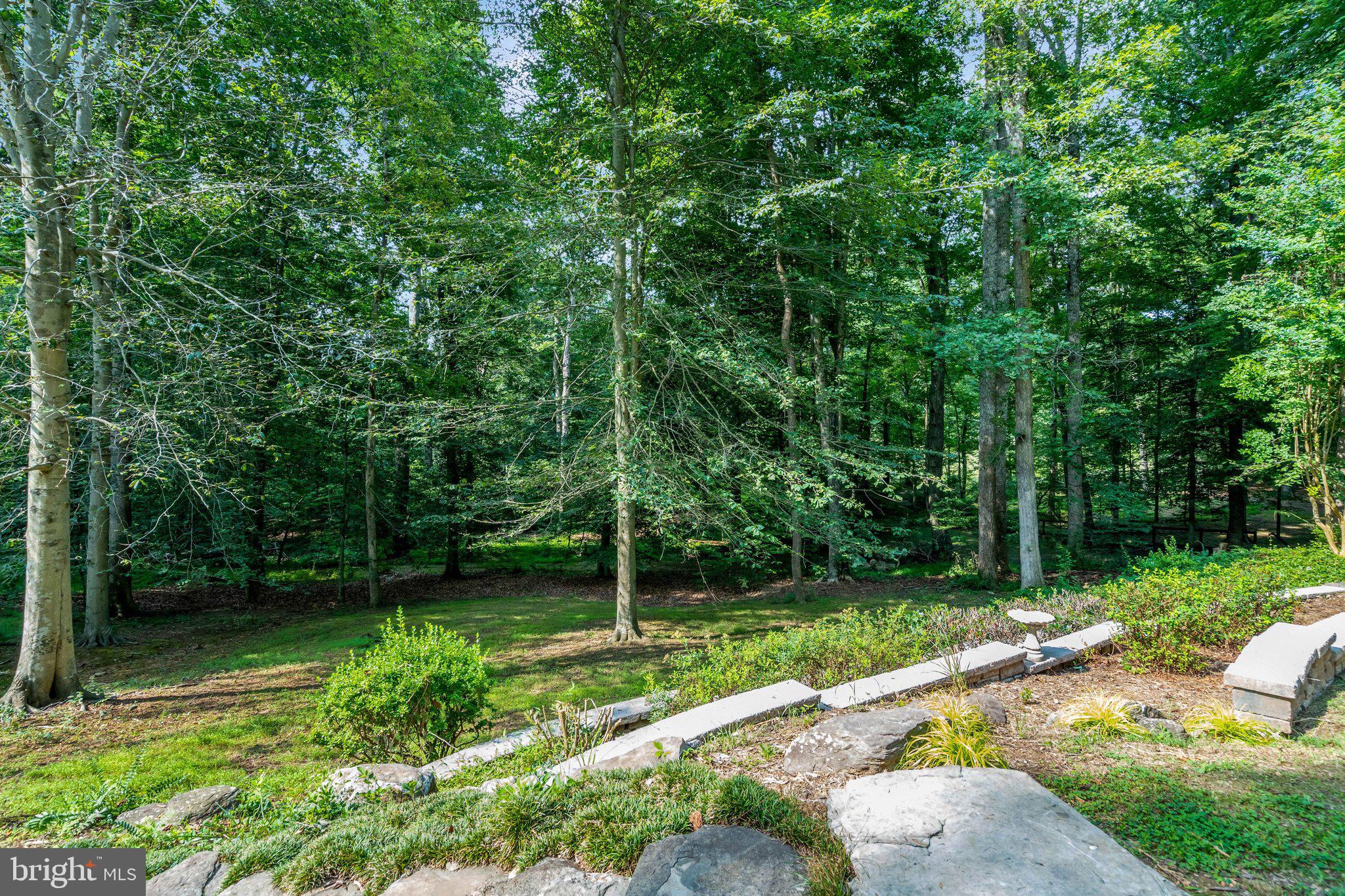 7430 Clifton Road Clifton, VA 20124 - Photo 89 of 90 Gallery Image 89