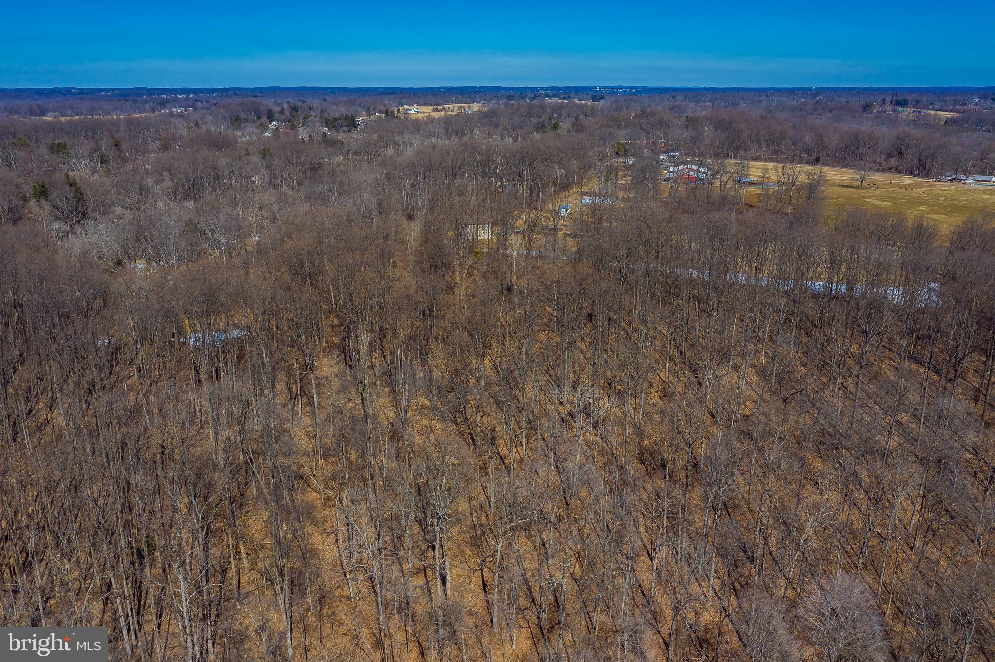 3013 Harford Road Fallston, MD 21047 - Photo 11 of 19 a view of a lake with a forest
