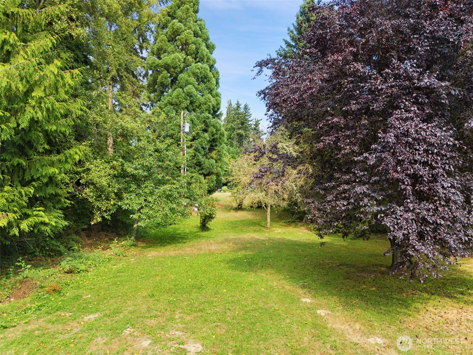 265 Cays Road Sequim, WA 98382 - Photo 40 of 40 a view of yard with green space