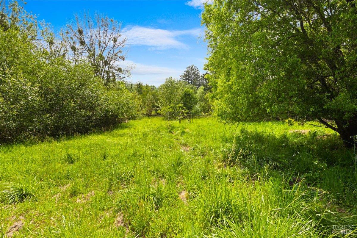 2019 Pleasant Hill Road Sebastopol, CA 95472 - Photo 56 of 77