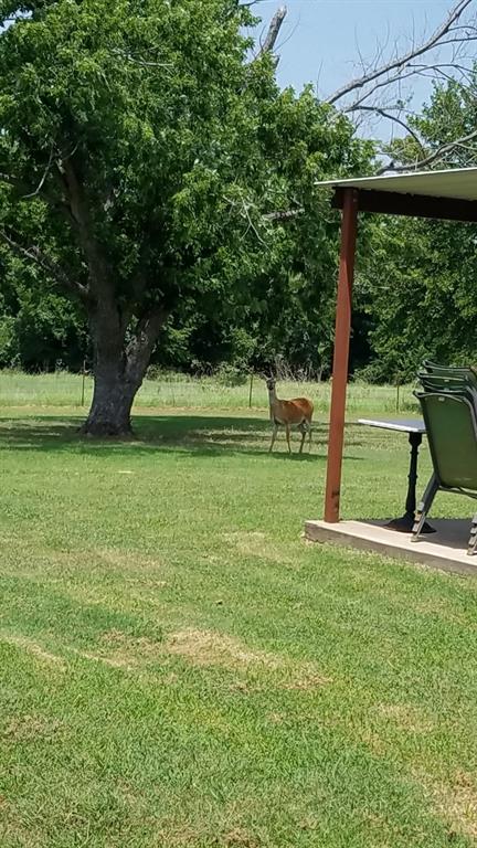 2400 Springfield Road Springtown, TX 76082 - Photo 30 of 31