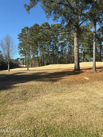 $2,200 | 961 Willow Grande Circle, Brandon, MS 39047