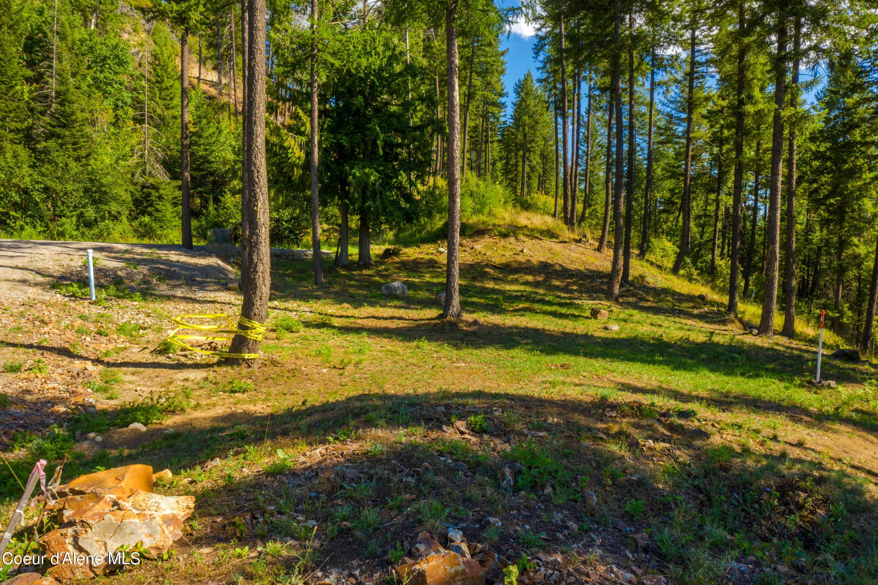 Wildflower Way Sandpoint, ID 83864 - Photo 11 of 42 WWLOT_14