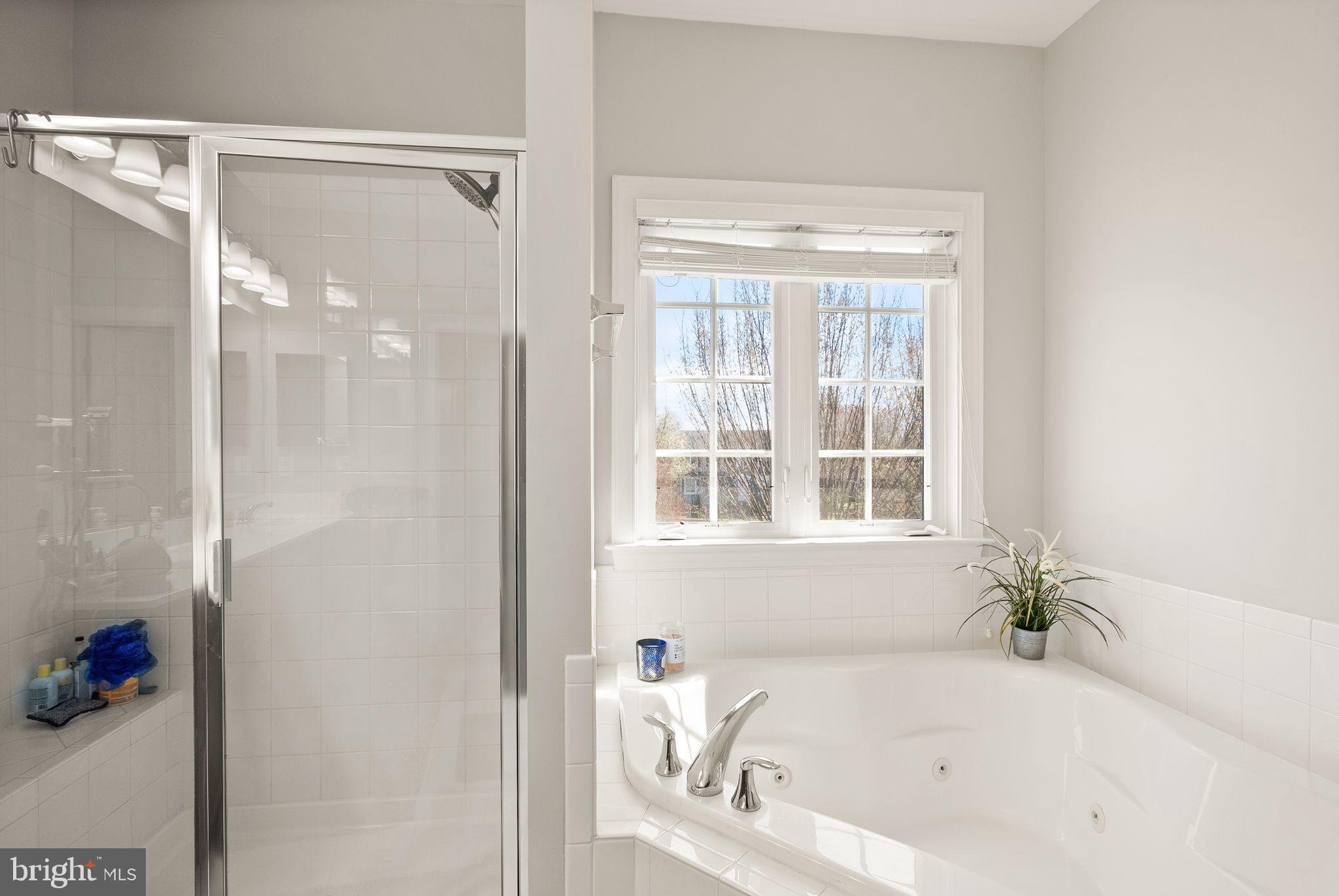 7897 Carbondale Way Springfield, VA 22153 - Photo 23 of 41