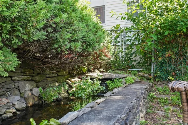 a view of a garden with plants