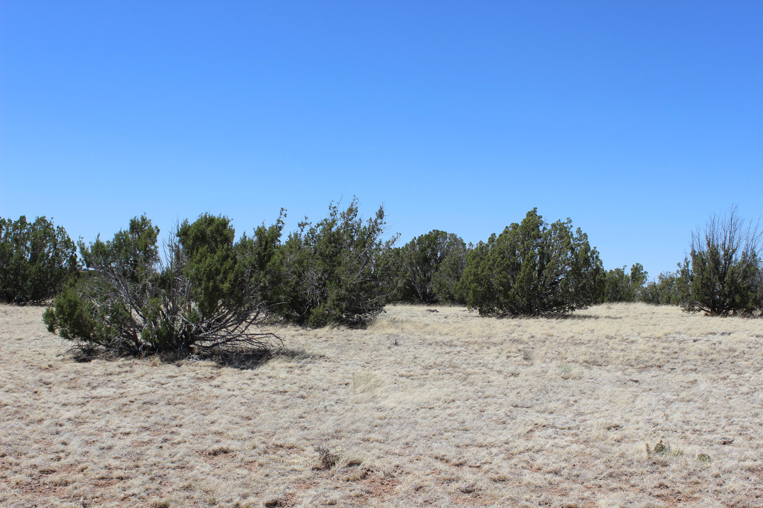 Lot 142 Lakeview Ranch Concho, AZ 85924 - Photo 1 of 11