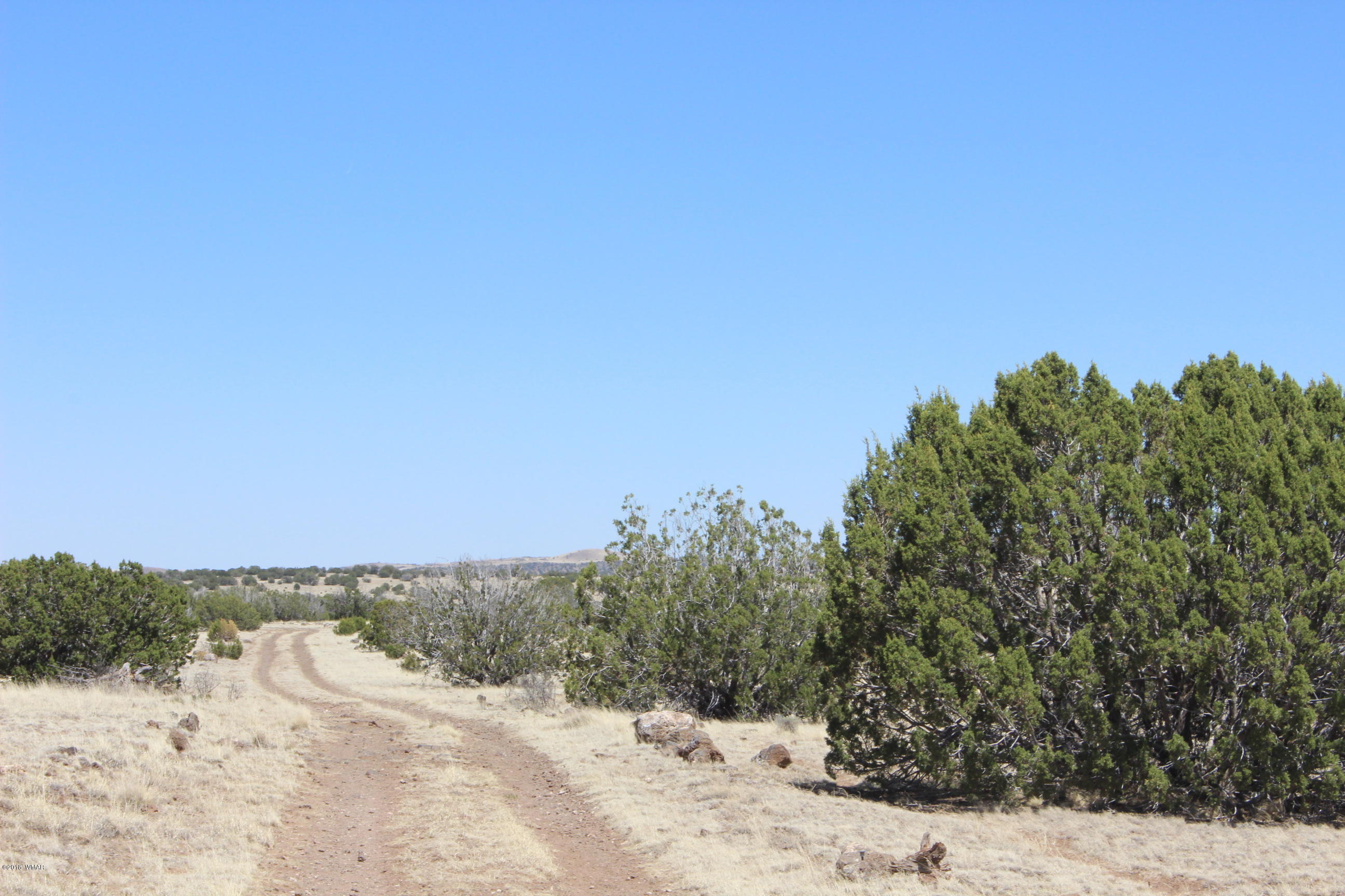 Lot 142 Lakeview Ranch Concho, AZ 85924 - Photo 11 of 11