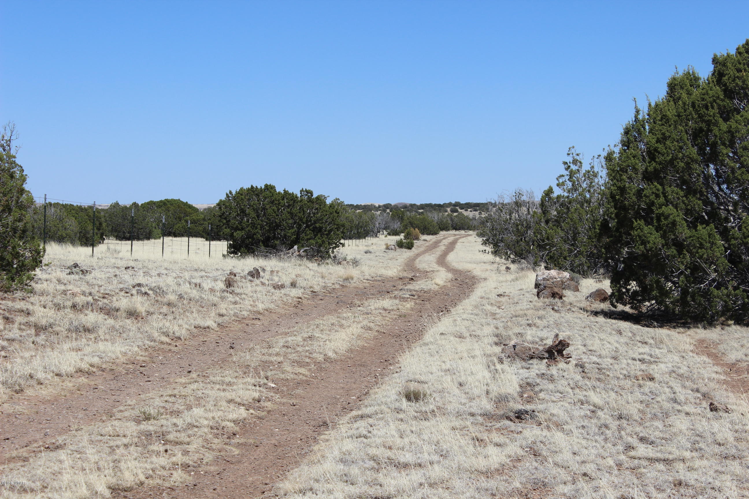 Lot 142 Lakeview Ranch Concho, AZ 85924 - Photo 2 of 11