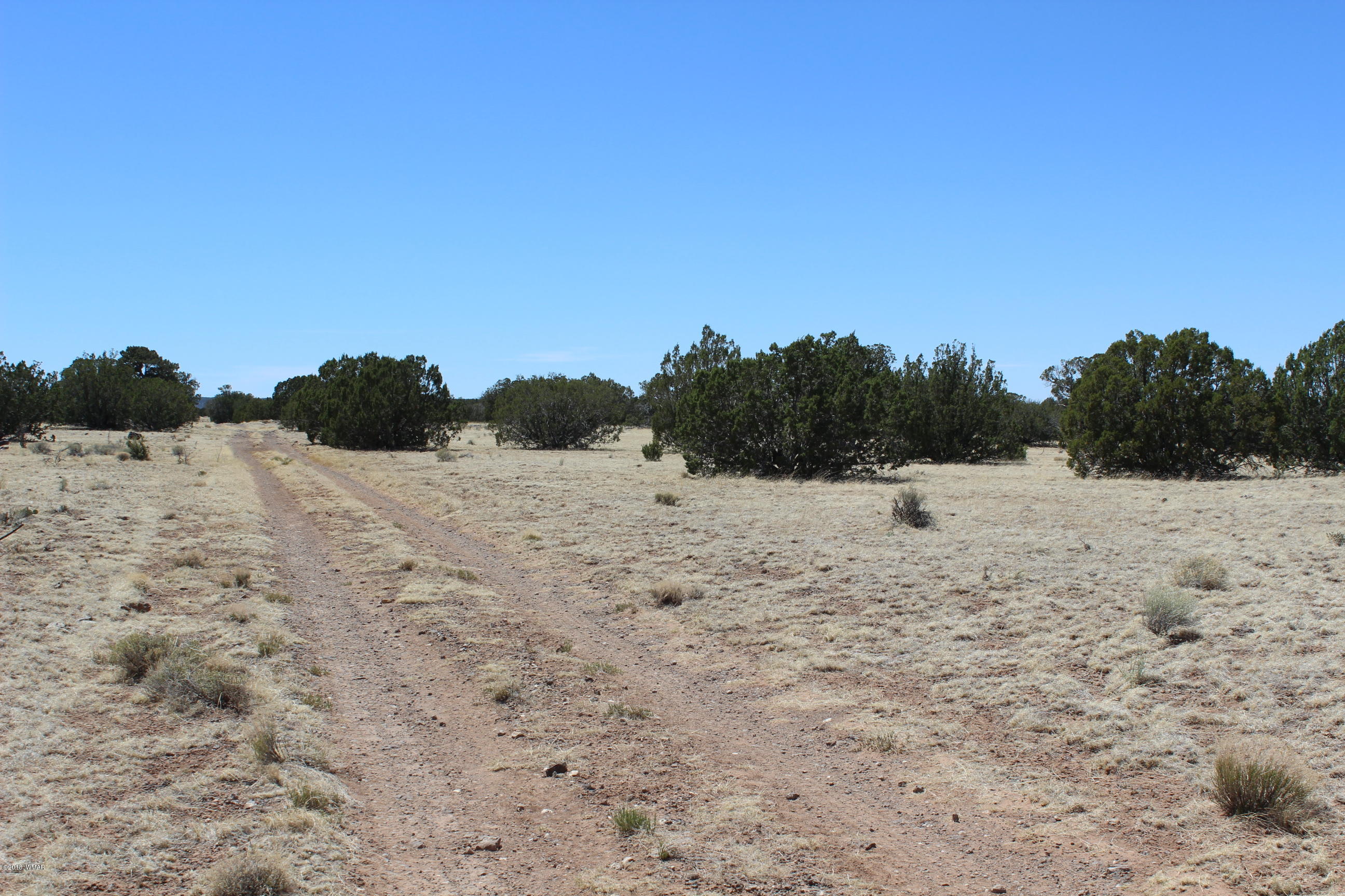 Lot 142 Lakeview Ranch Concho, AZ 85924 - Photo 3 of 11