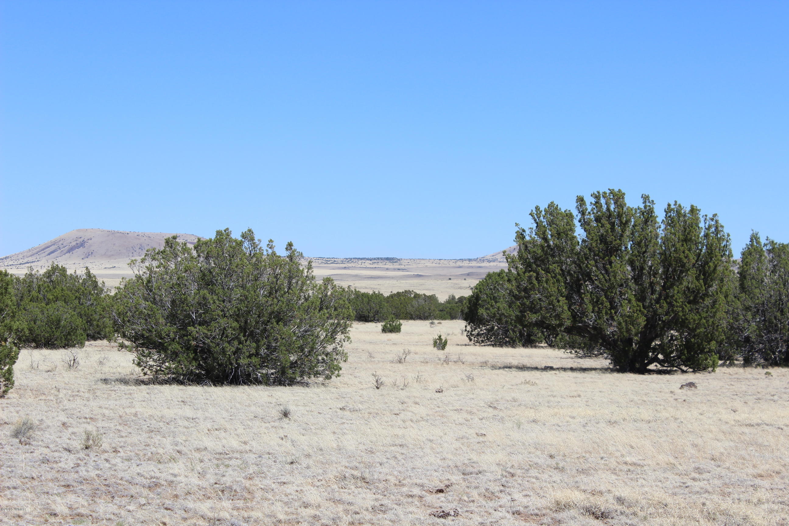 Lot 142 Lakeview Ranch Concho, AZ 85924 - Photo 4 of 11