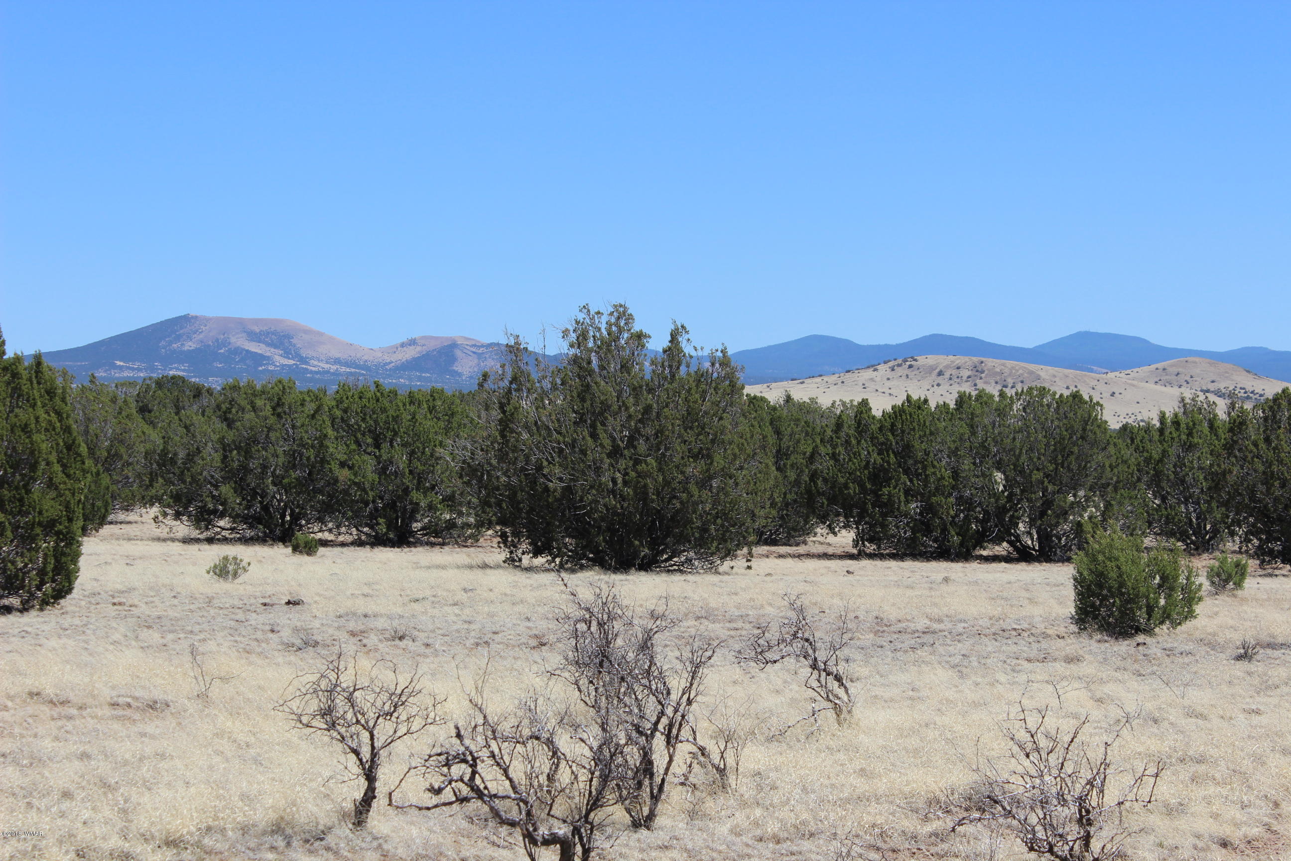 Lot 142 Lakeview Ranch Concho, AZ 85924 - Photo 5 of 11