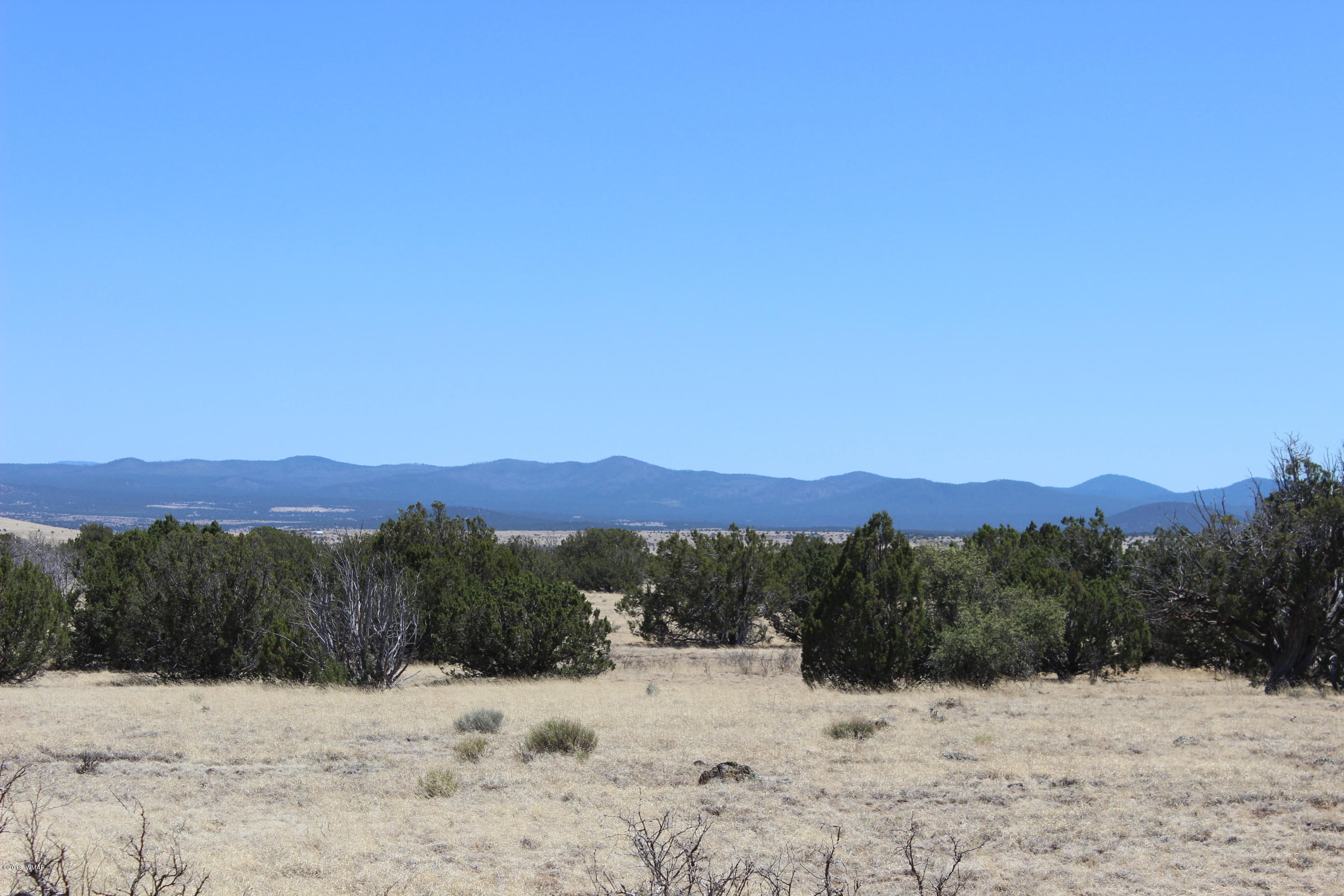 Lot 142 Lakeview Ranch Concho, AZ 85924 - Photo 6 of 11