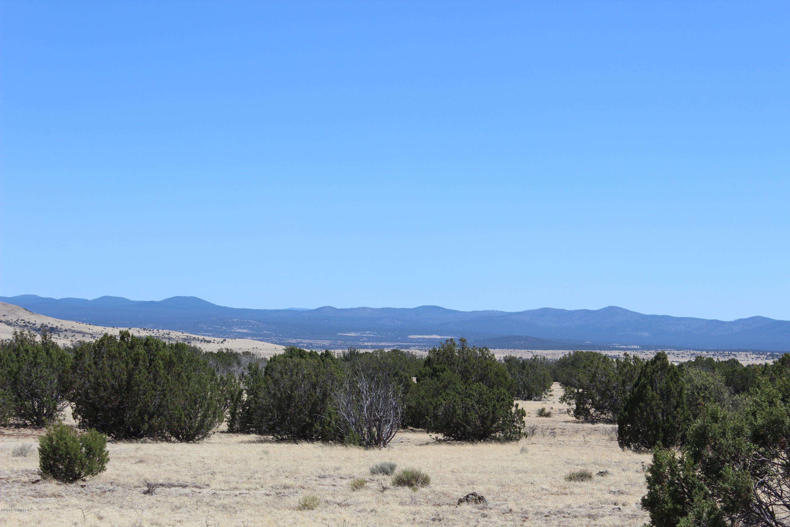 Lot 142 Lakeview Ranch Concho, AZ 85924 - Photo 7 of 11