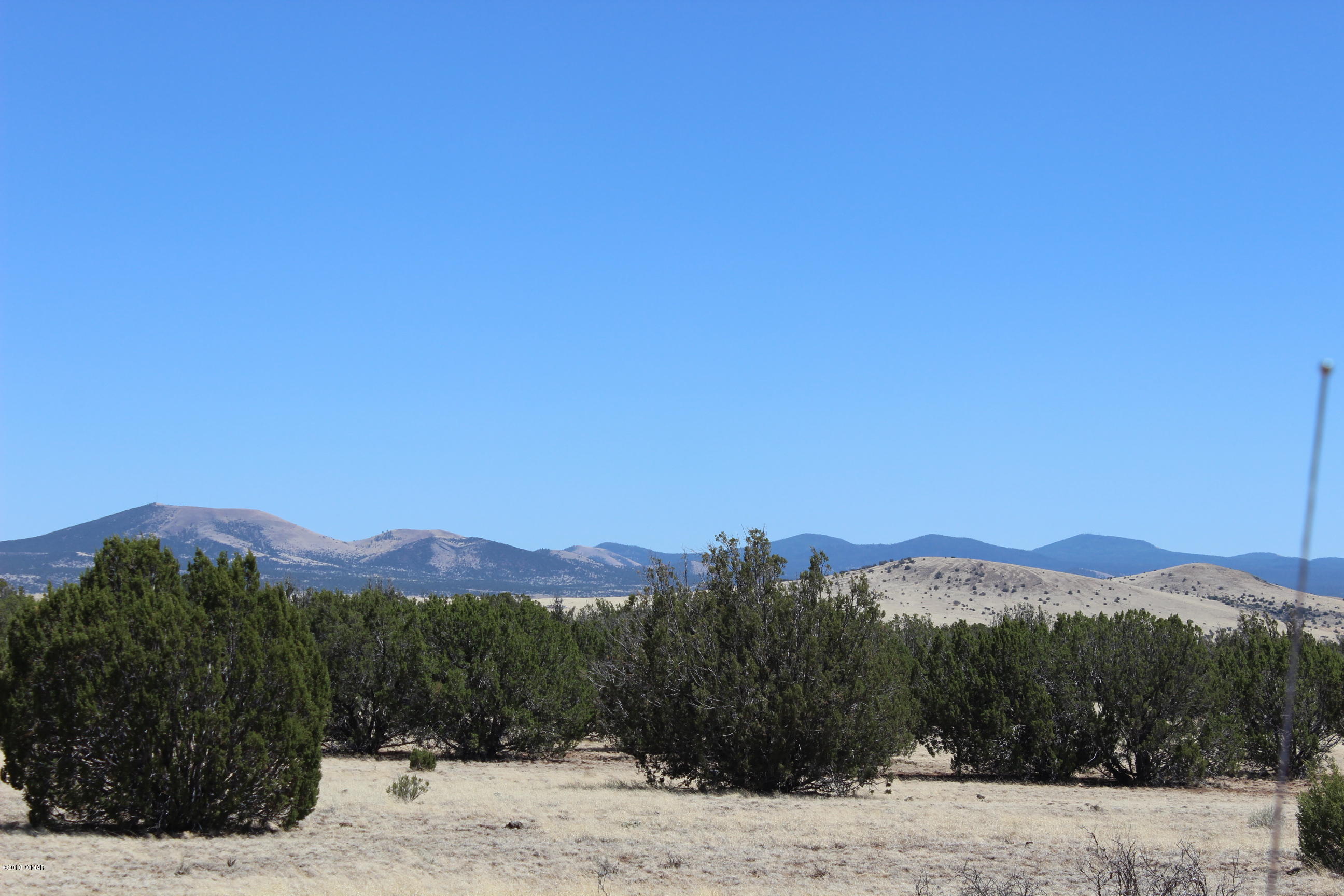 Lot 142 Lakeview Ranch Concho, AZ 85924 - Photo 8 of 11