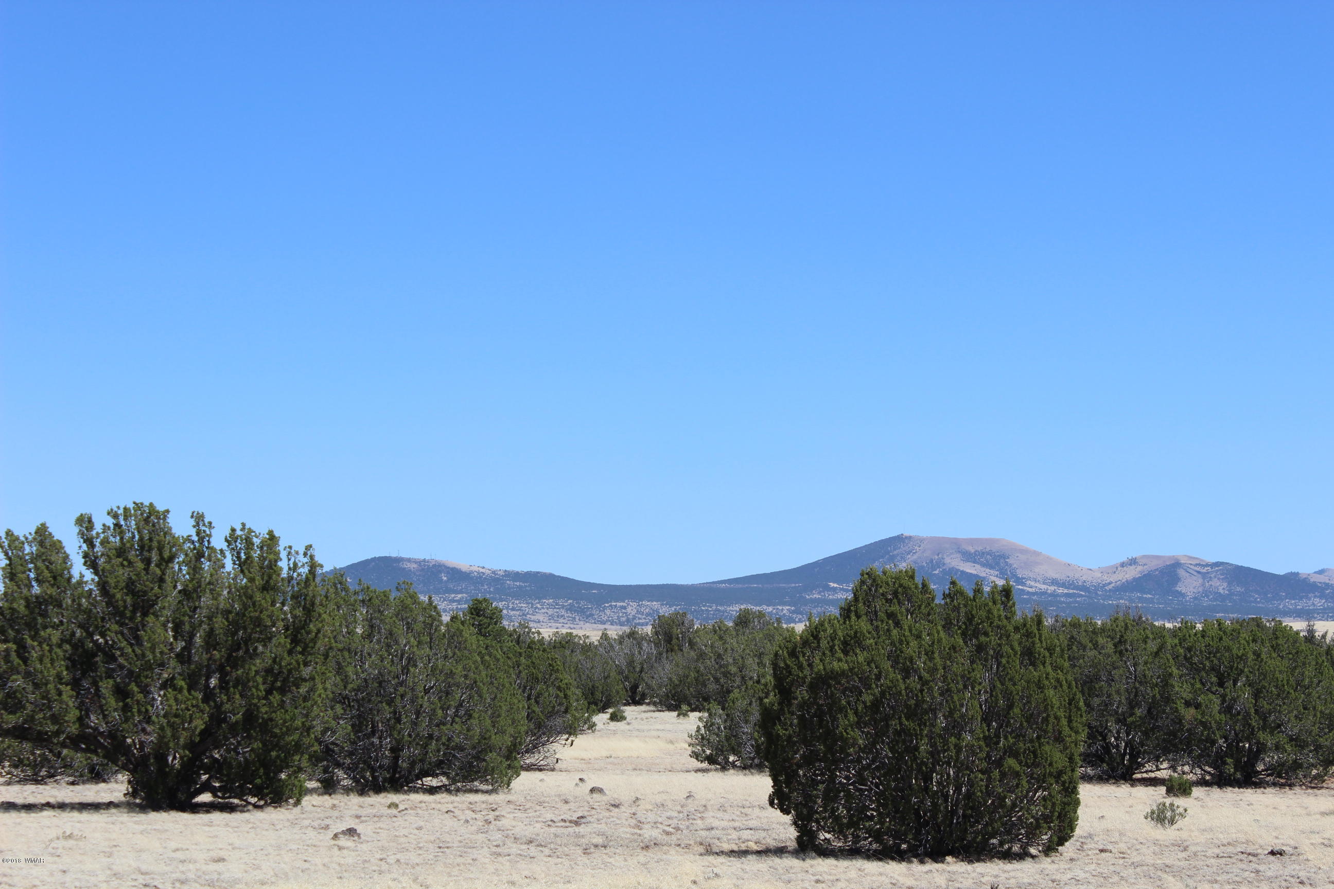 Lot 142 Lakeview Ranch Concho, AZ 85924 - Photo 9 of 11