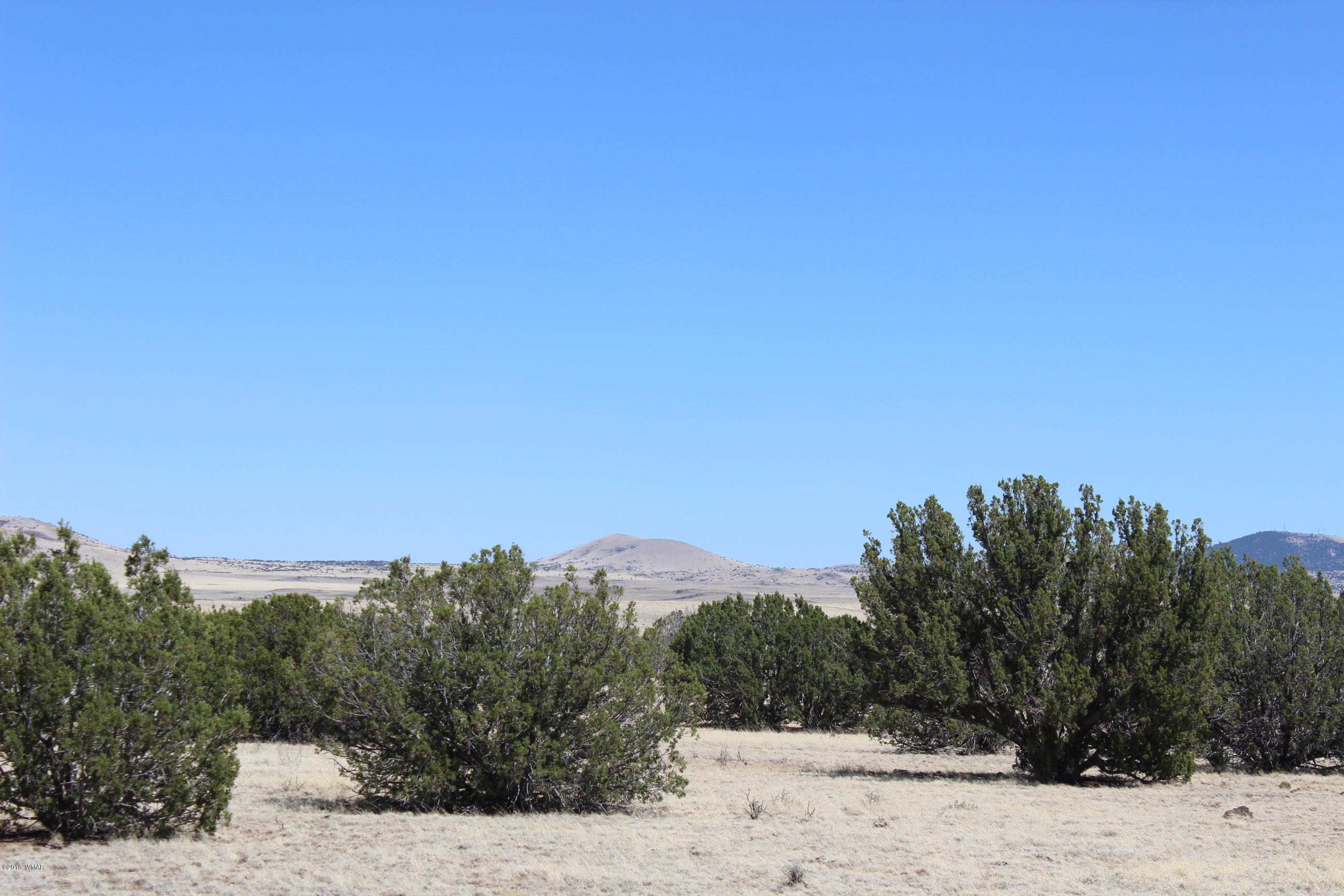 Lot 142 Lakeview Ranch Concho, AZ 85924 - Photo 10 of 11