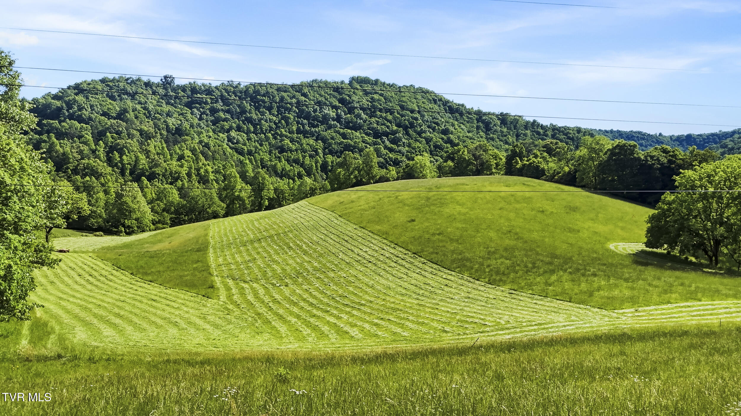 3609 Cave Springs Road Tazewell, TN 37879 - Photo 31 of 33 dji_20260511164602_0491_d