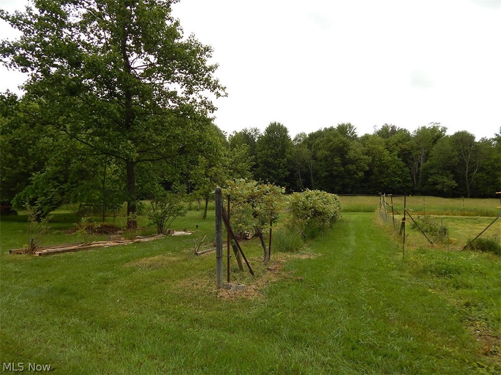 8045 Coon Club Road Medina, OH 44256 - Photo 27 of 28 Gallery Image 27