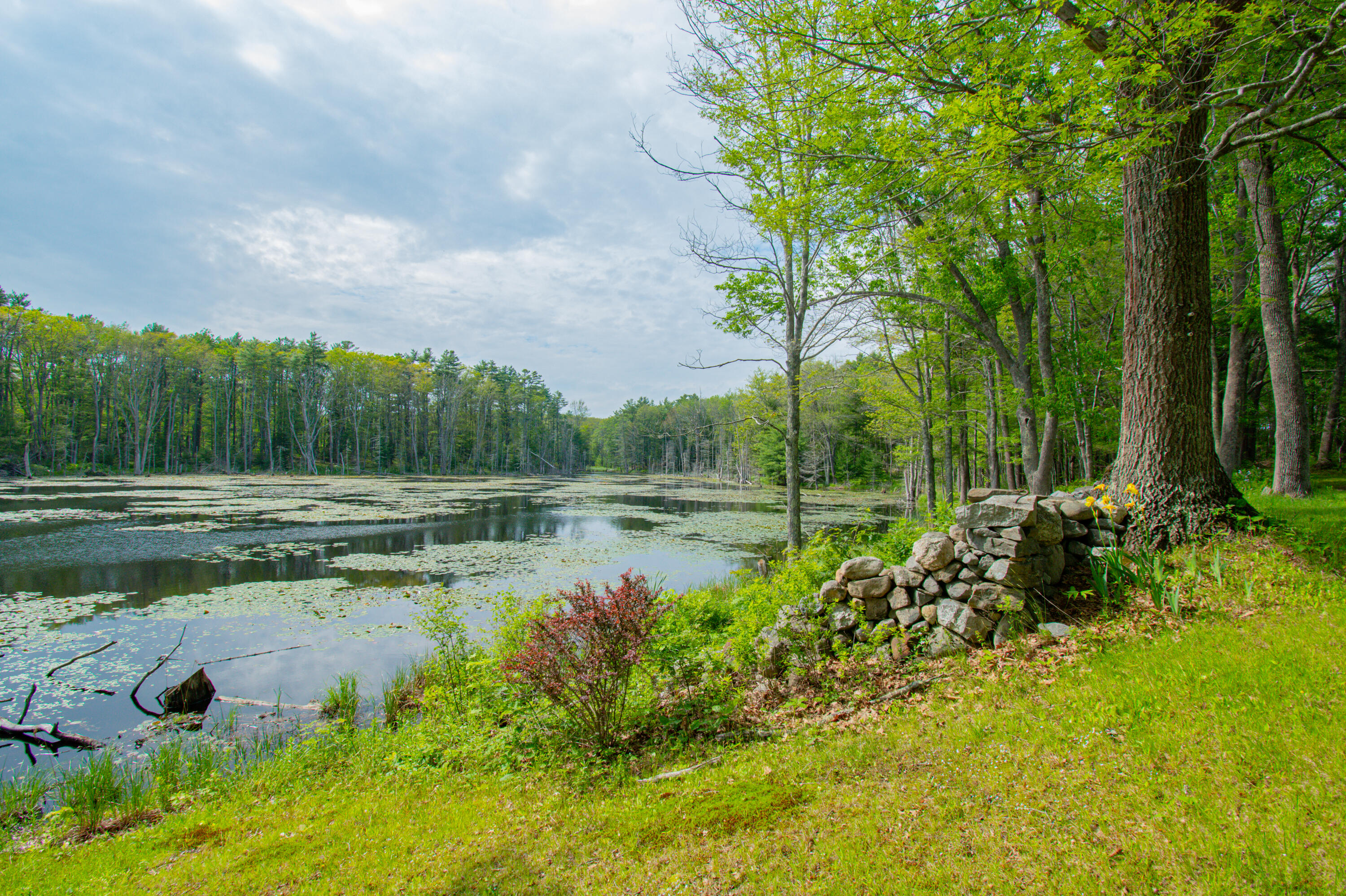 511 Main Road Phippsburg, ME 04562 - Photo 80 of 121 511MainRd.Phippsburg-114