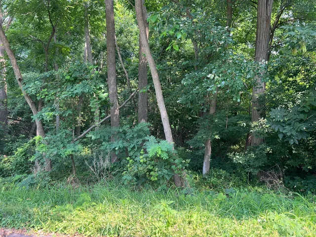 $25,000 | Lot 60-61 Paul Street, McHenry, IL 60051