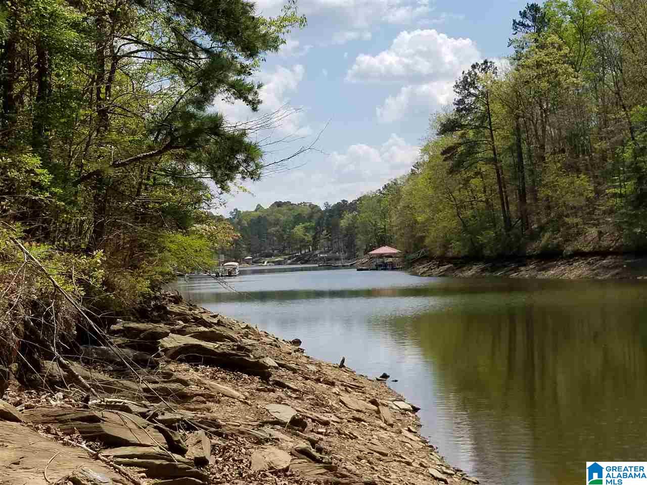 Lot 106 River Birch Road, Unit LOT 106 Wedowee, AL 36278 - Photo 7 of 14