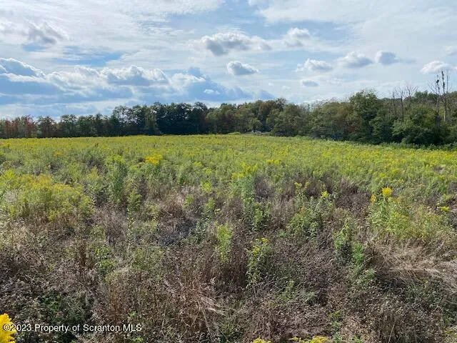 a view of a lake with houses in the back
