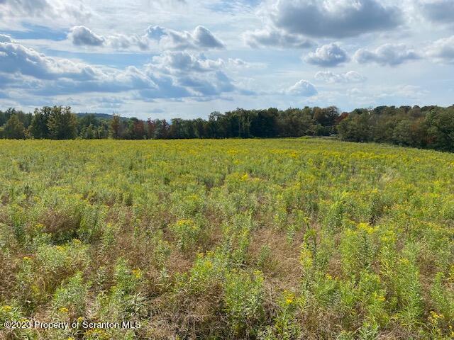 Stone Road Dalton, PA 18414 - Photo 5 of 10