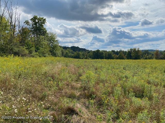 Stone Road Dalton, PA 18414 - Photo 6 of 10 a view of yard and mountain view