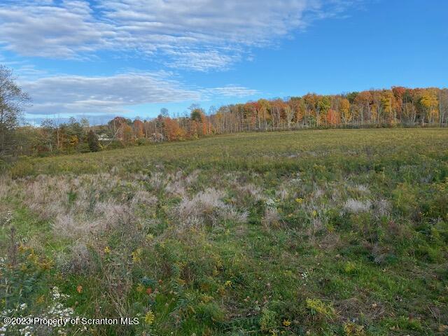 Stone Road Dalton, PA 18414 - Photo 7 of 10 a view of an outdoor space and a yard