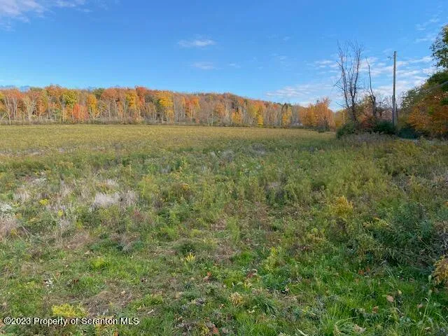 a view of a yard with an trees