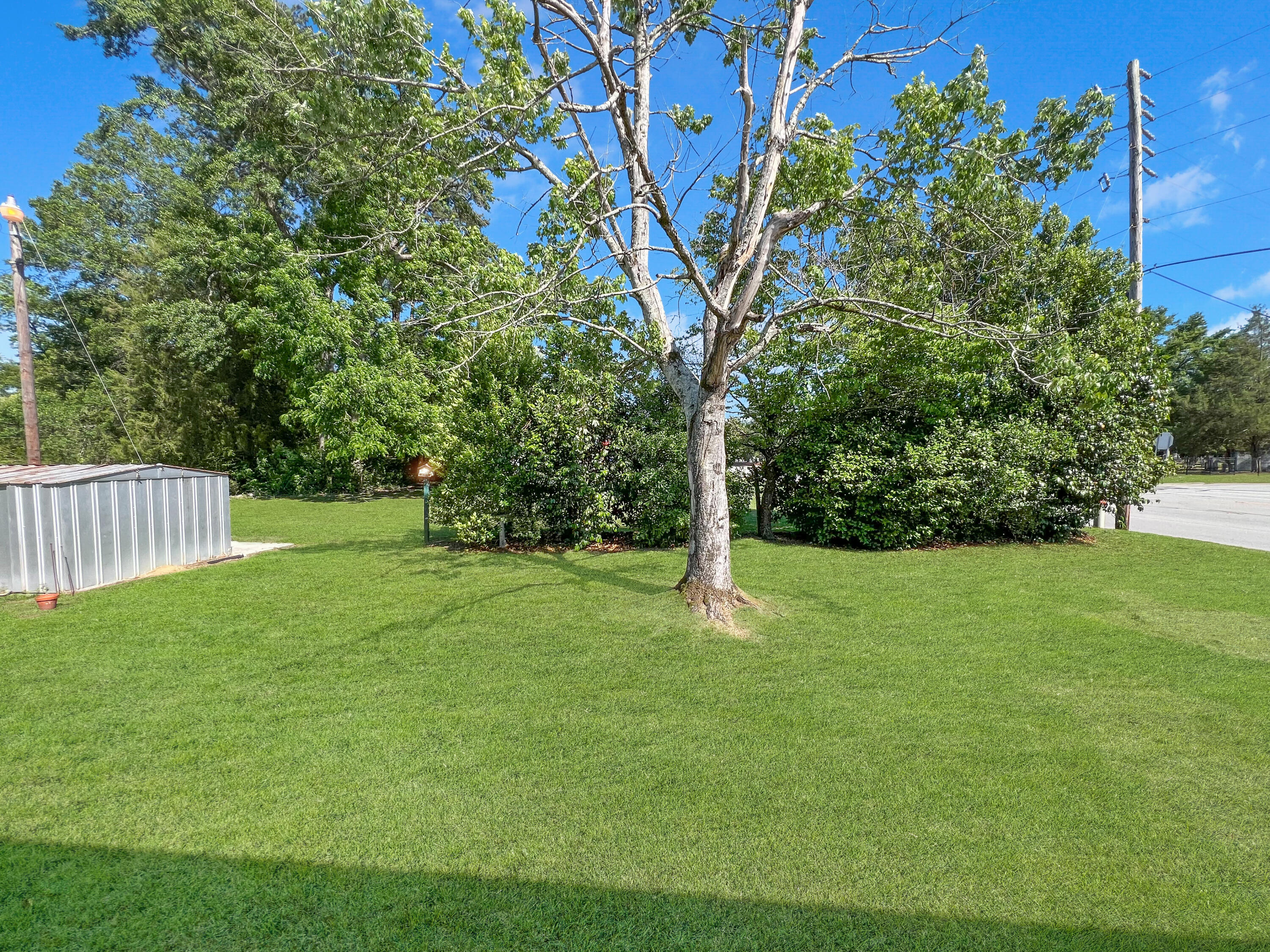 300 North Metts Street St. George, SC 29477 - Photo 11 of 15 300backyard1