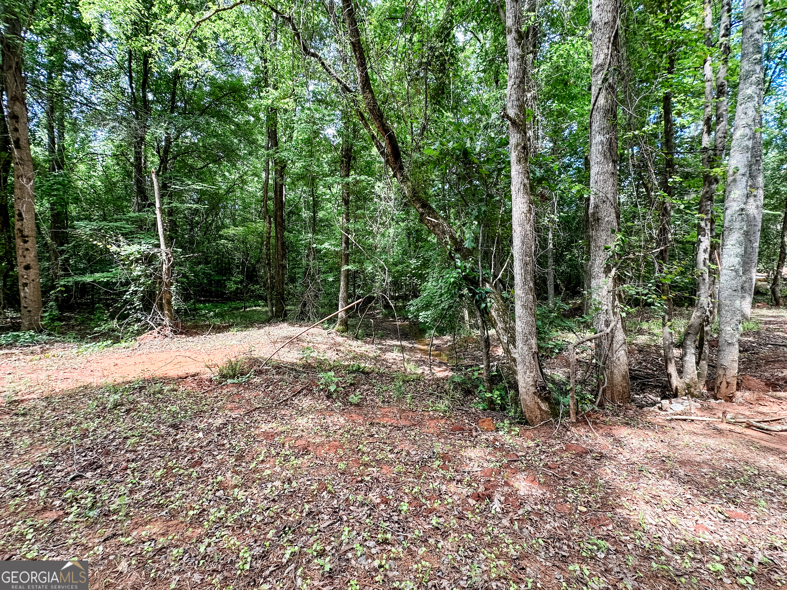 52.4-acres Goolsby Road, Unit 52 4 ACRES Monticello, GA 31064 - Photo 15 of 25