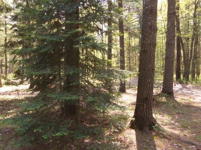 11195 Kilawee Road Minocqua, WI 54548 - Photo 16 of 19 Gallery Image 16