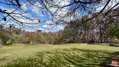 a view of outdoor space with trees all around
