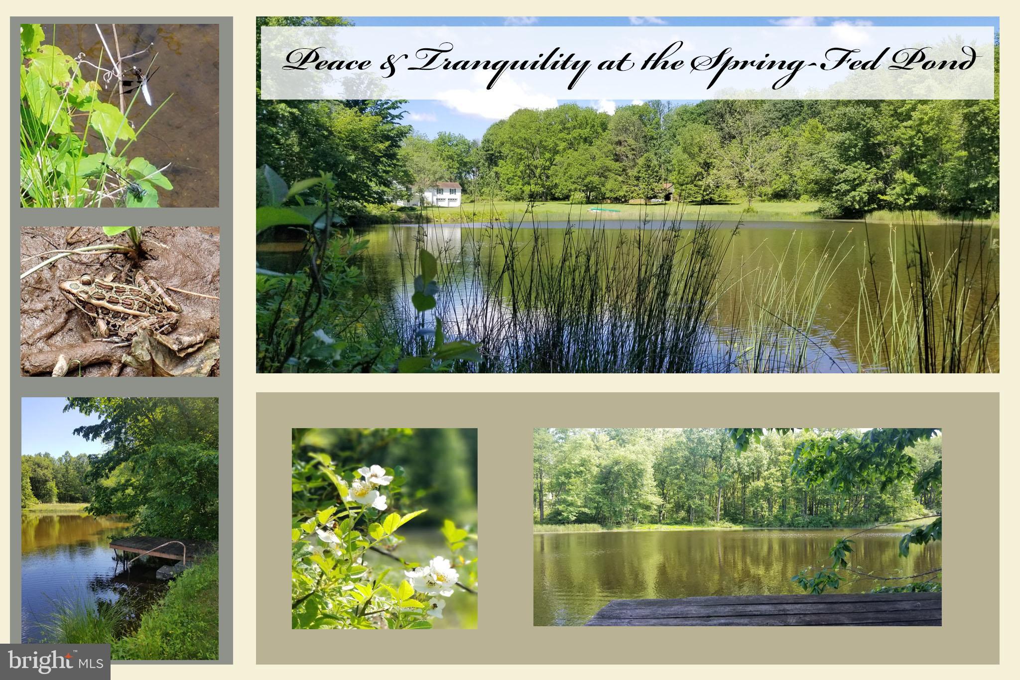 751 Fairview Road Glenmoore, PA 19343 - Photo 68 of 88