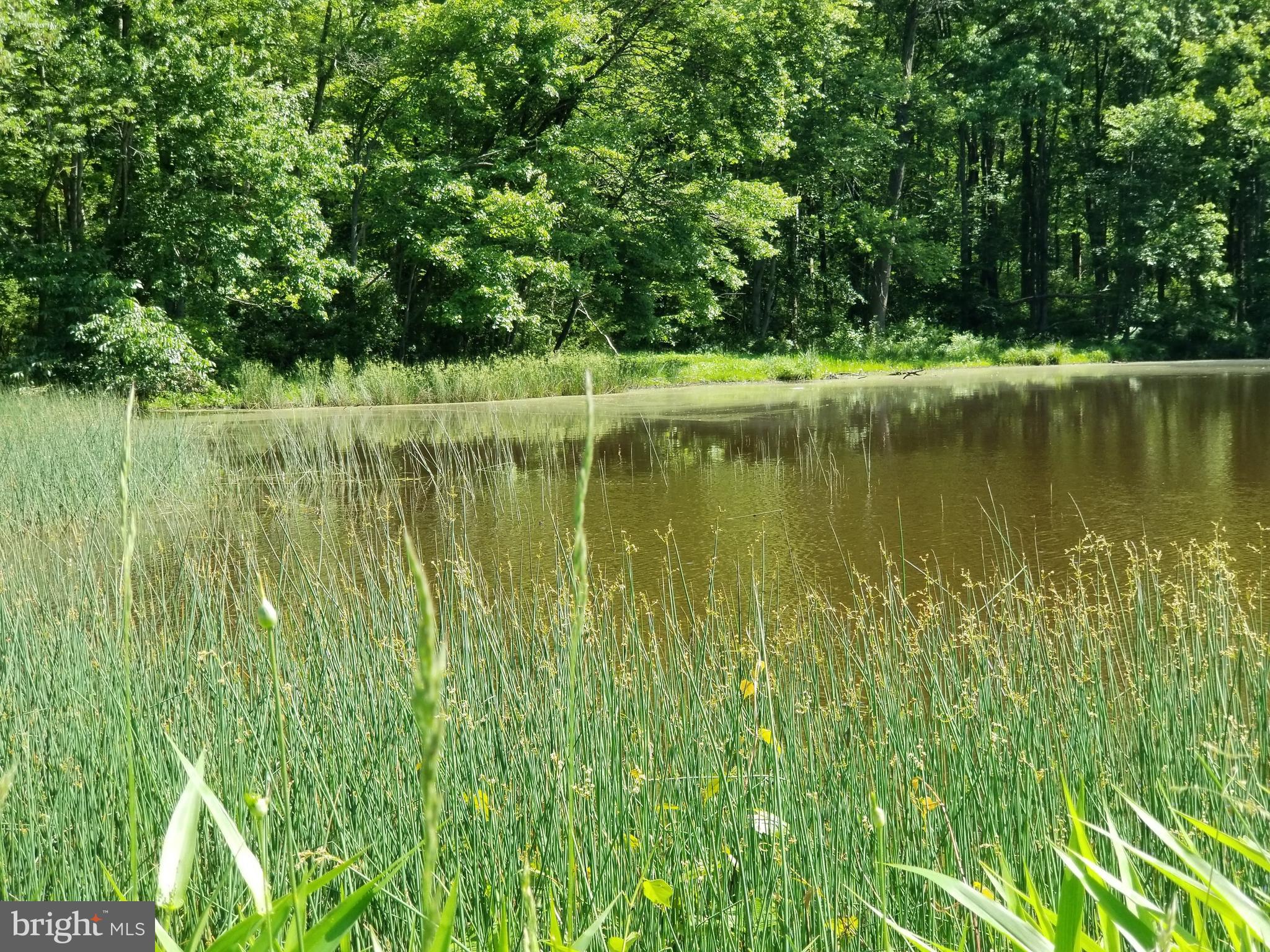 751 Fairview Road Glenmoore, PA 19343 - Photo 70 of 88