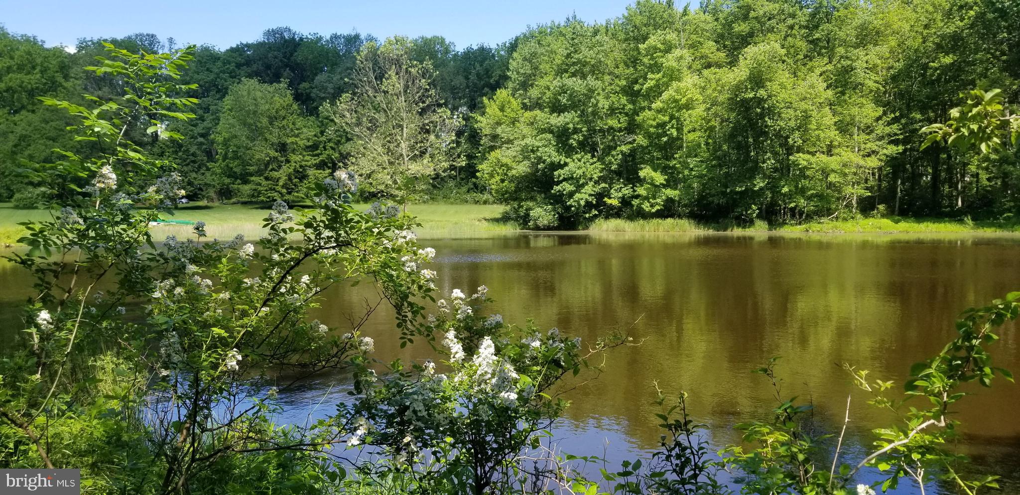 751 Fairview Road Glenmoore, PA 19343 - Photo 71 of 88