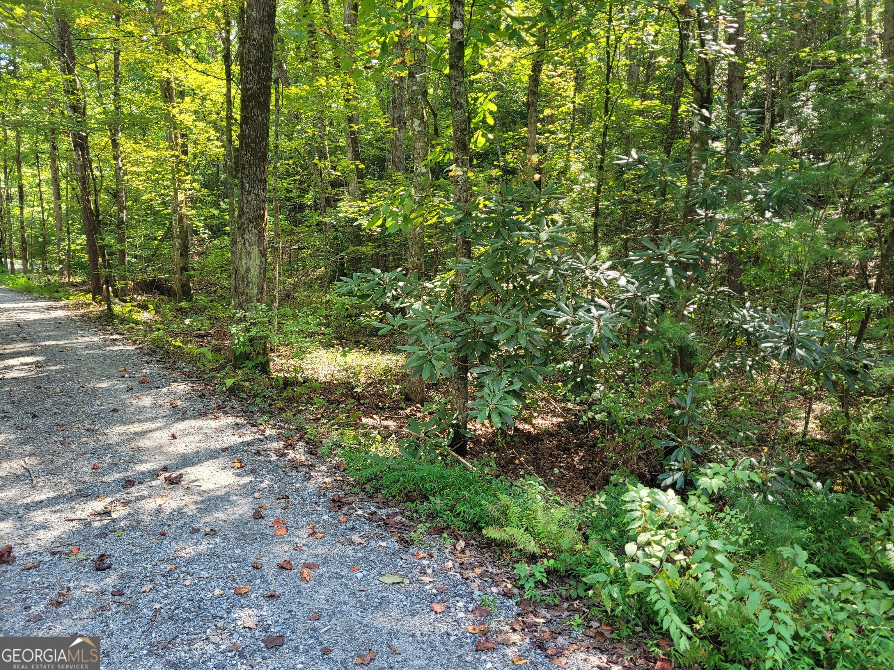 0 Miners Mountain Road, Unit LOT 6 Sautee Nacoochee, GA 30571 - Photo 11 of 16