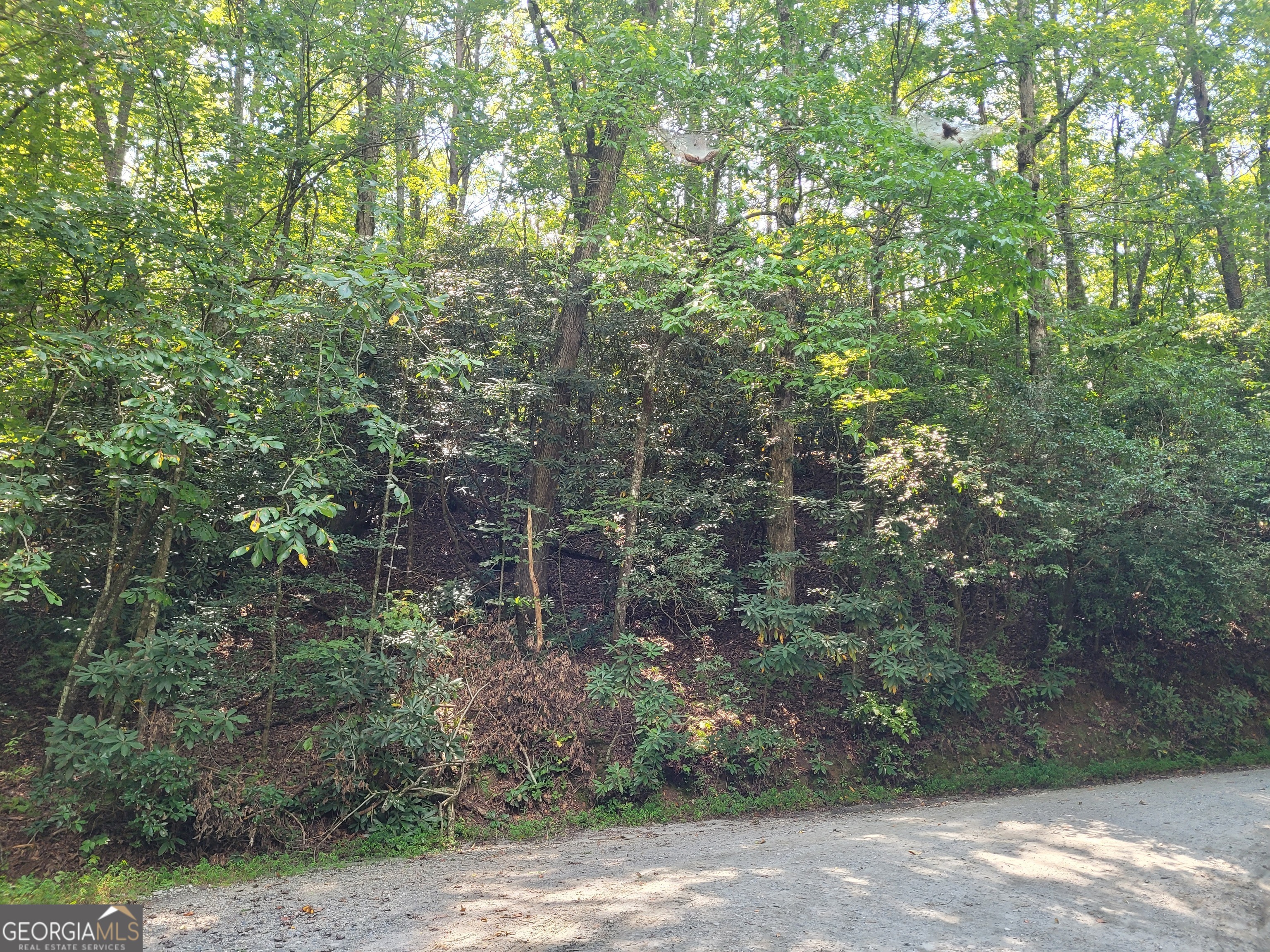 0 Miners Mountain Road, Unit LOT 6 Sautee Nacoochee, GA 30571 - Photo 12 of 16