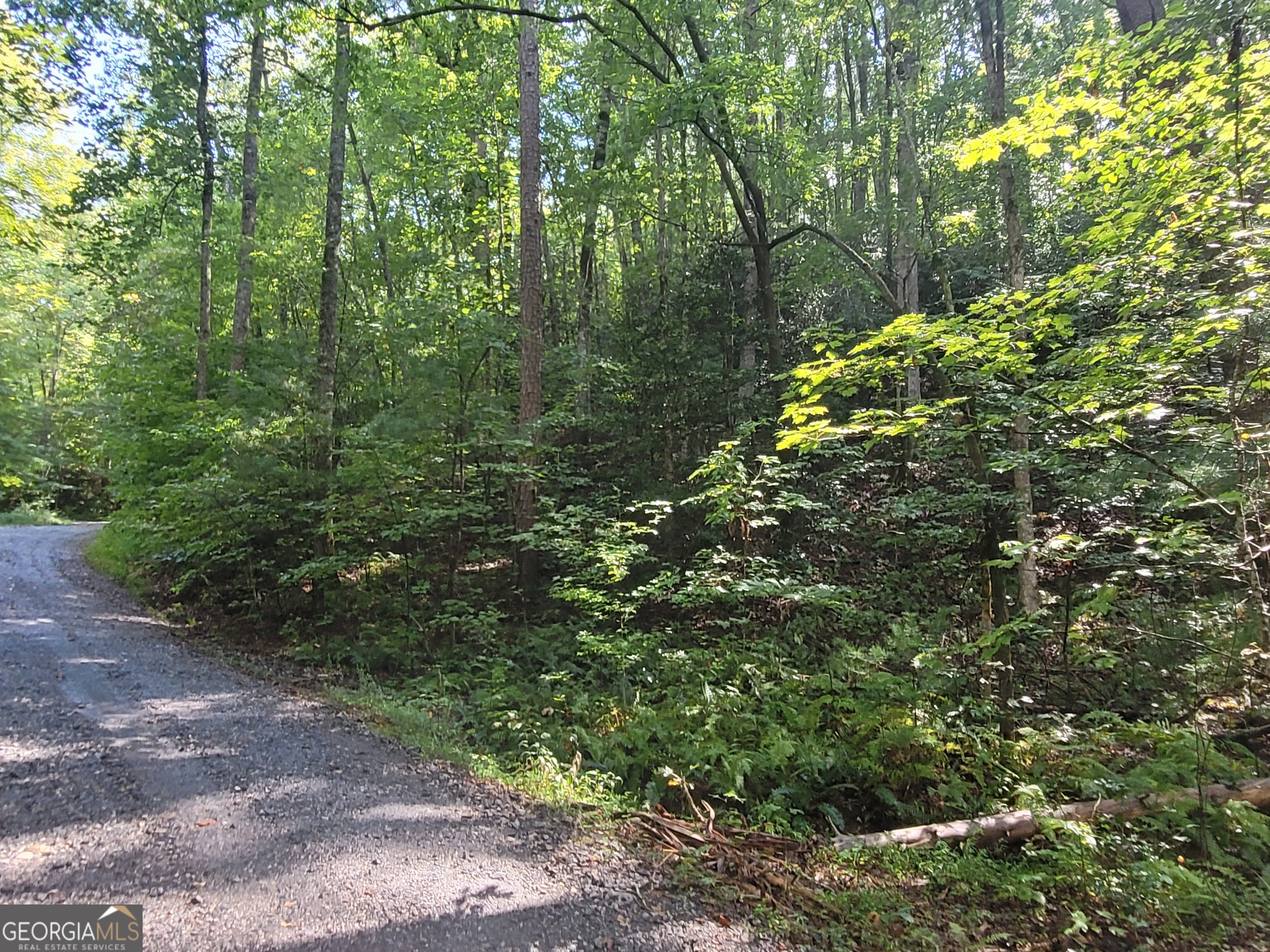 0 Miners Mountain Road, Unit LOT 6 Sautee Nacoochee, GA 30571 - Photo 6 of 16