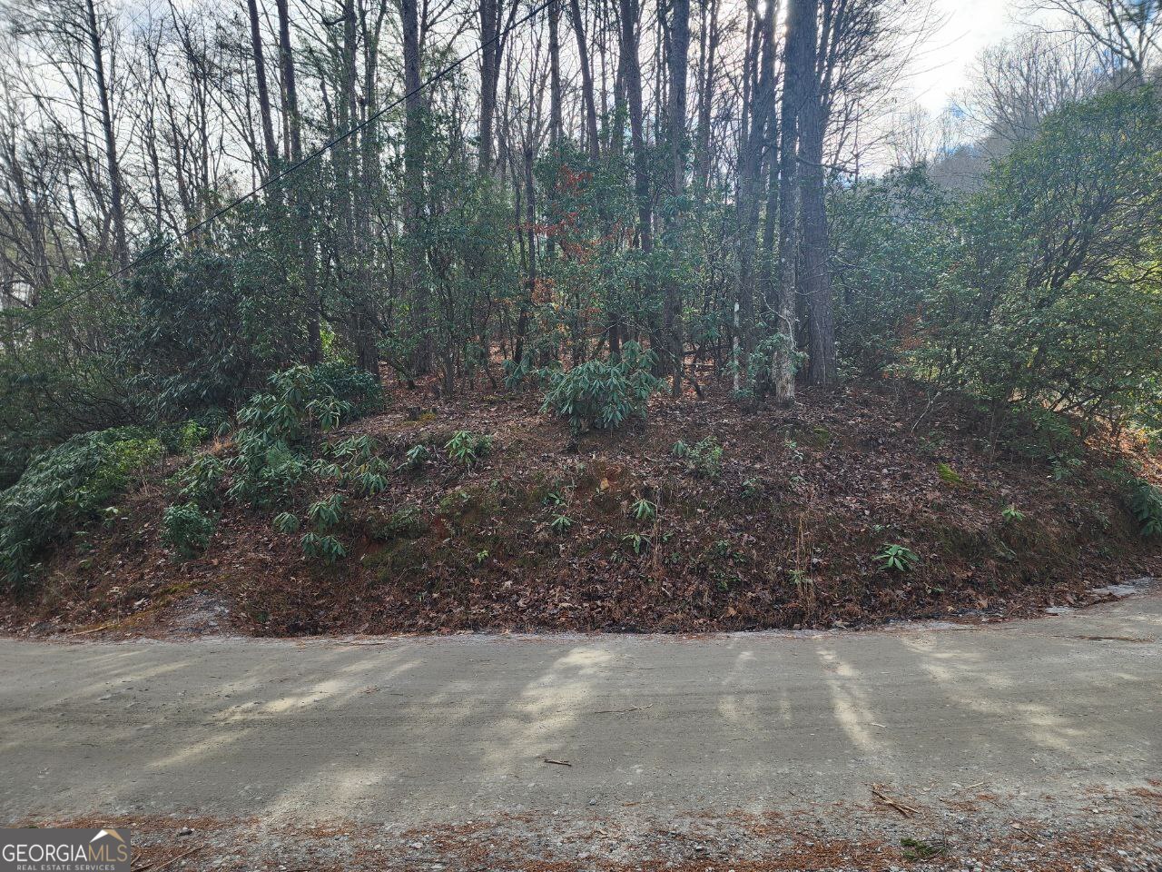 0 Miners Mountain Road, Unit LOT 6 Sautee Nacoochee, GA 30571 - Photo 8 of 16
