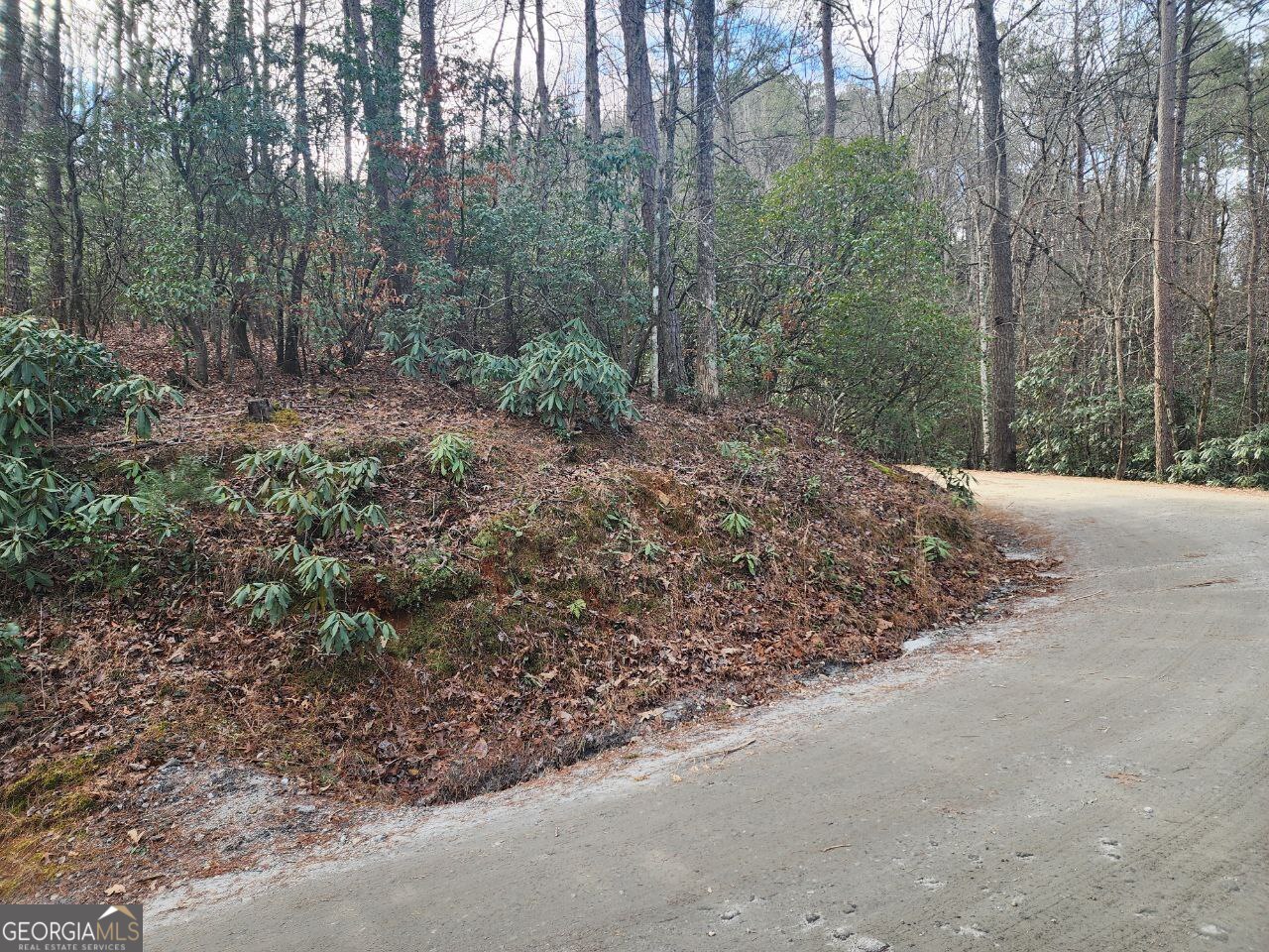 0 Miners Mountain Road, Unit LOT 6 Sautee Nacoochee, GA 30571 - Photo 9 of 16