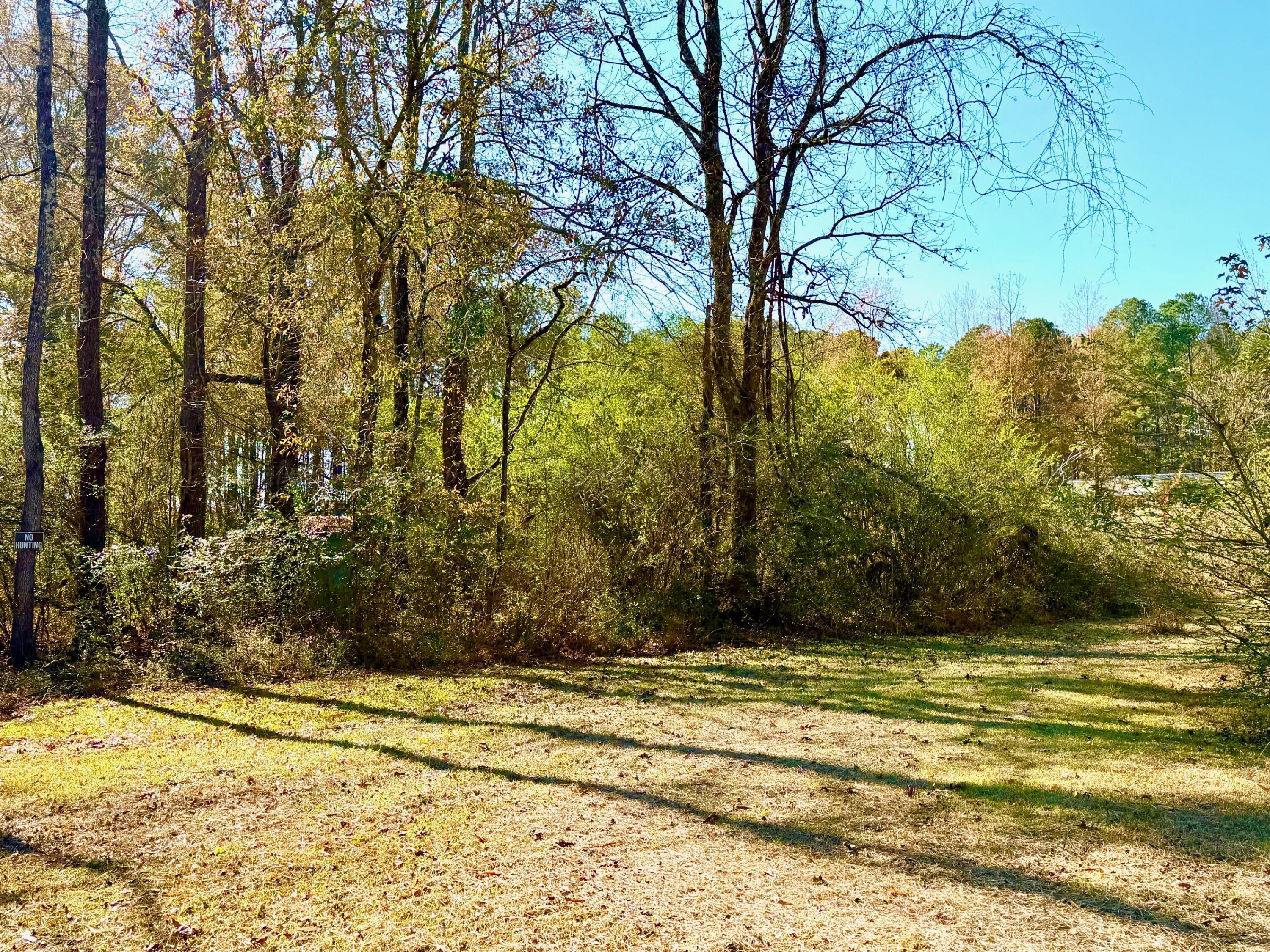 695 Russell Dairy Road Jasper, AL 35503 - Photo 30 of 36 side yard