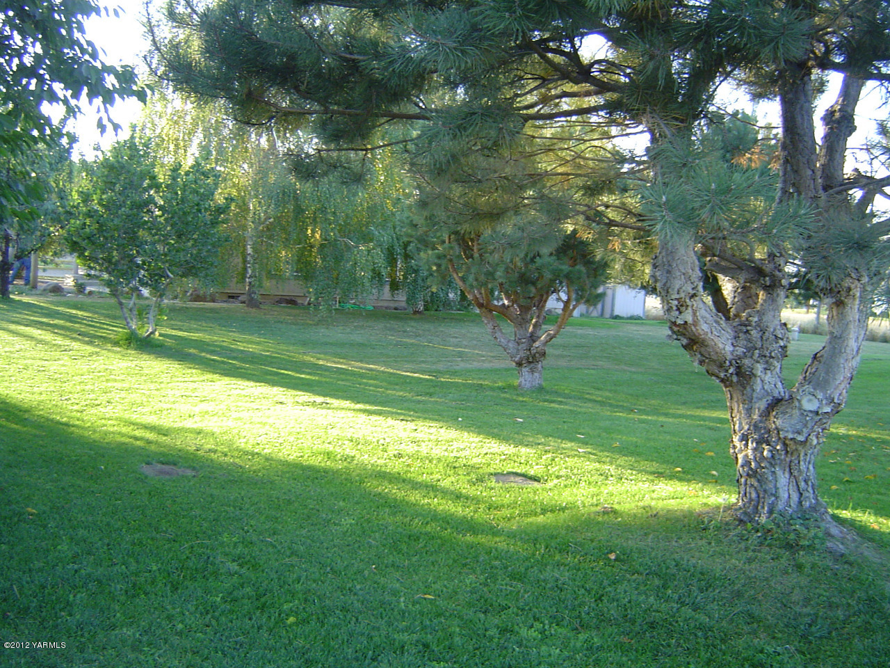 2810 Birchfield Road Yakima, WA 98901 - Photo 9 of 14 a view of a park