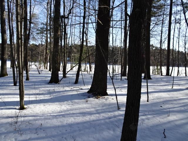 Lot 2 Sandy Court Minocqua, WI 54548 - Photo 2 of 19 Gallery Image 2