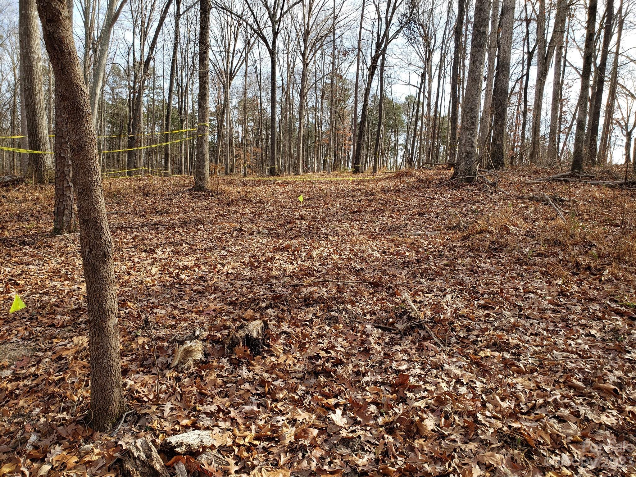 13370 Cabarrus Station Road Midland, NC 28107 - Photo 11 of 20 Gallery Image 11