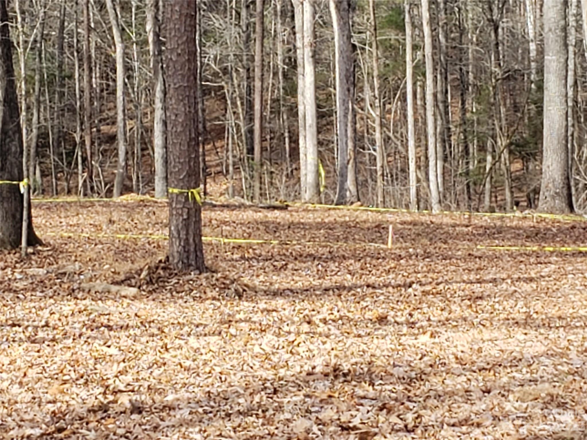 13370 Cabarrus Station Road Midland, NC 28107 - Photo 14 of 20 Gallery Image 14