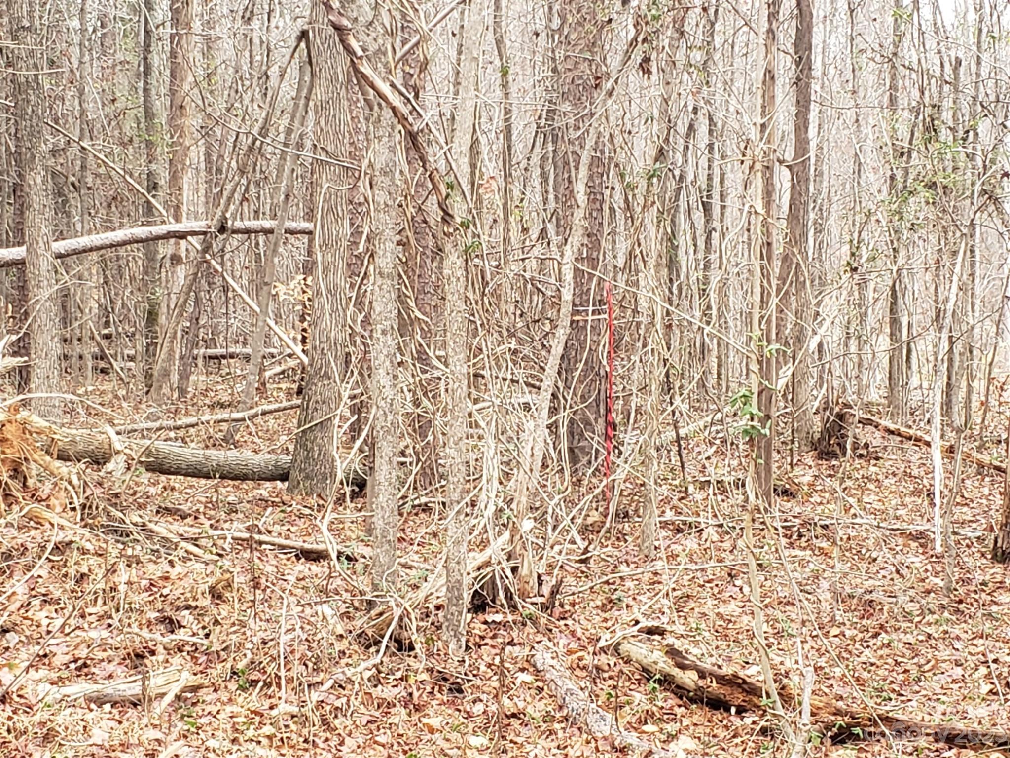 13370 Cabarrus Station Road Midland, NC 28107 - Photo 15 of 20 Gallery Image 15