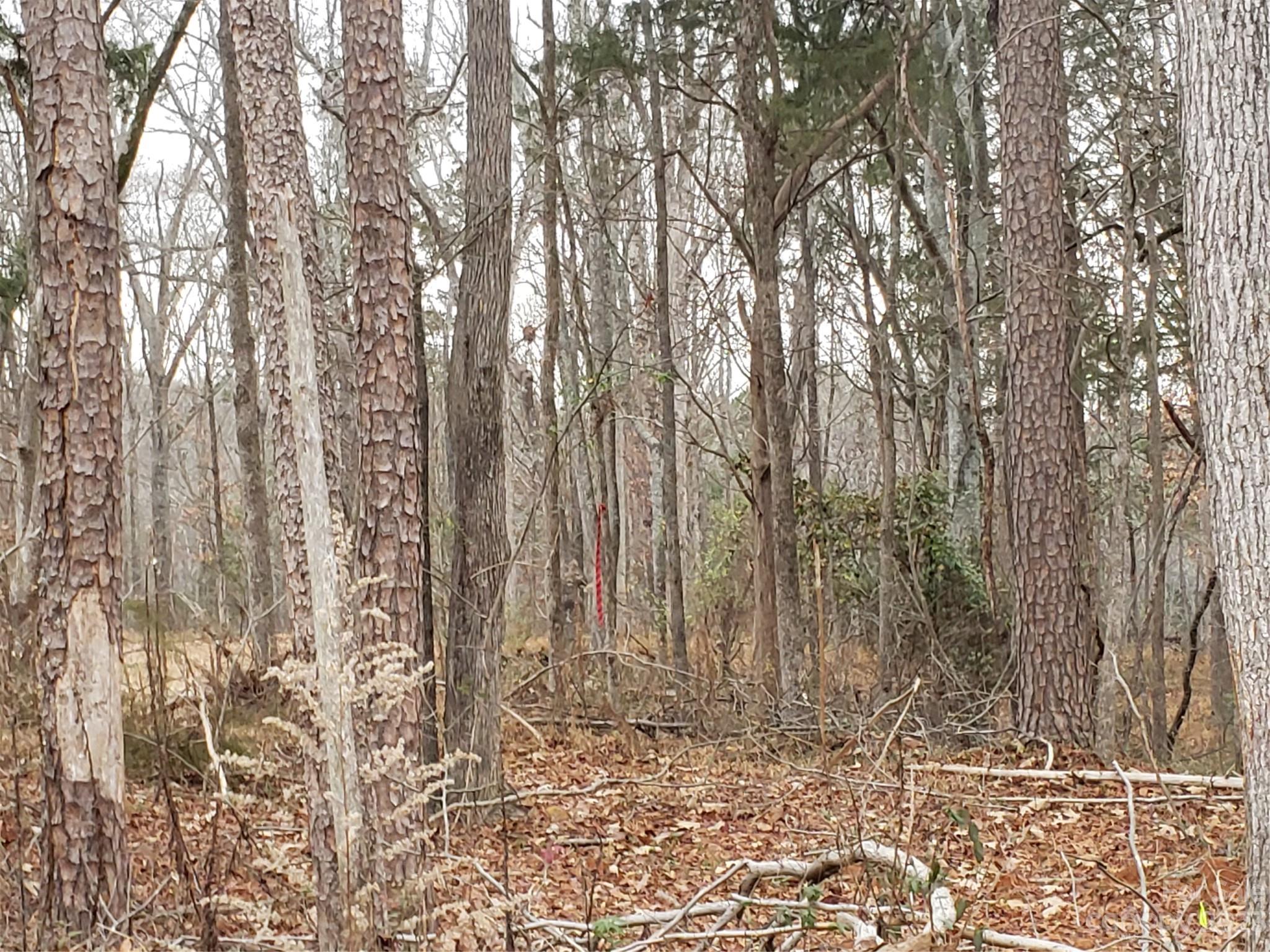 13370 Cabarrus Station Road Midland, NC 28107 - Photo 16 of 20 Gallery Image 16