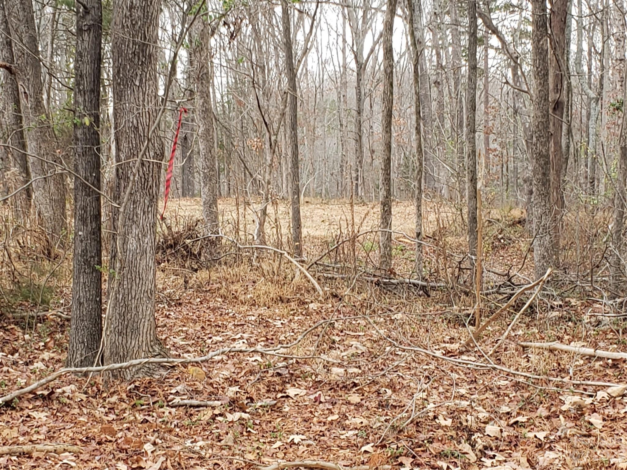 13370 Cabarrus Station Road Midland, NC 28107 - Photo 17 of 20 Gallery Image 17